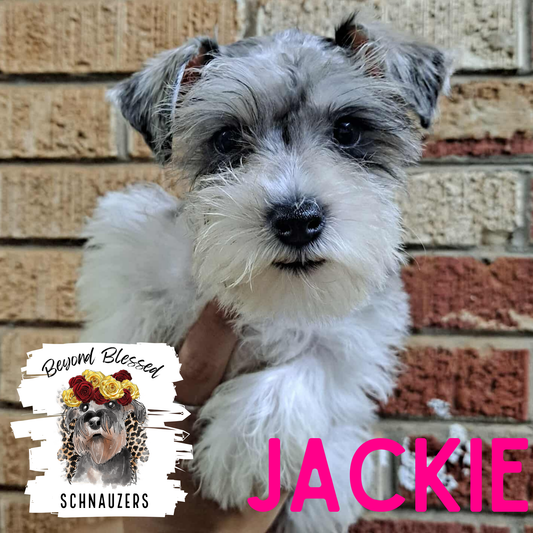 Jackie