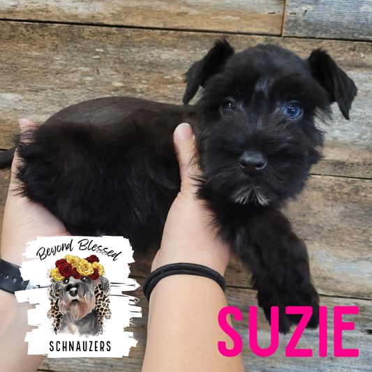 Suzie