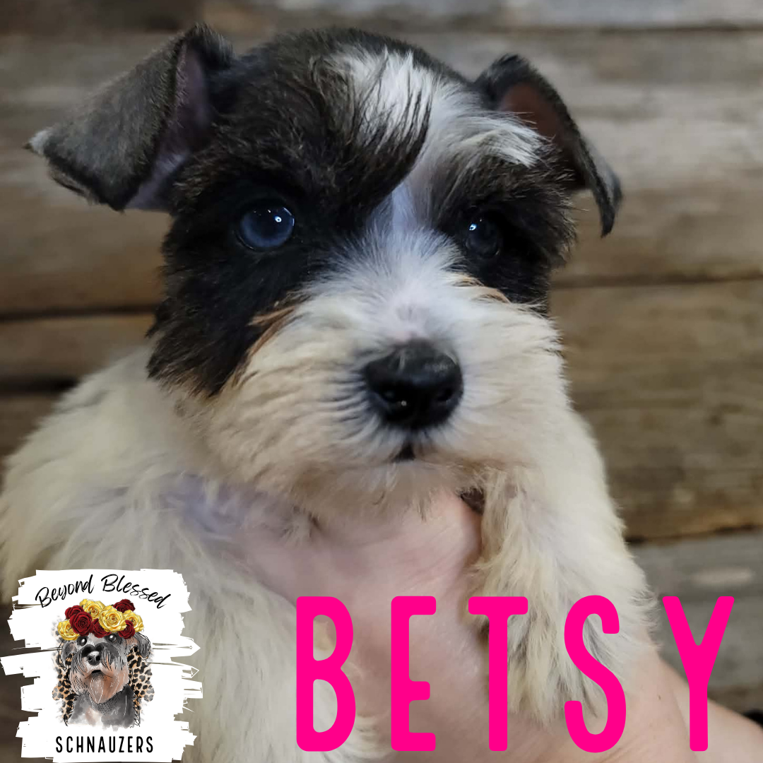 Betsy