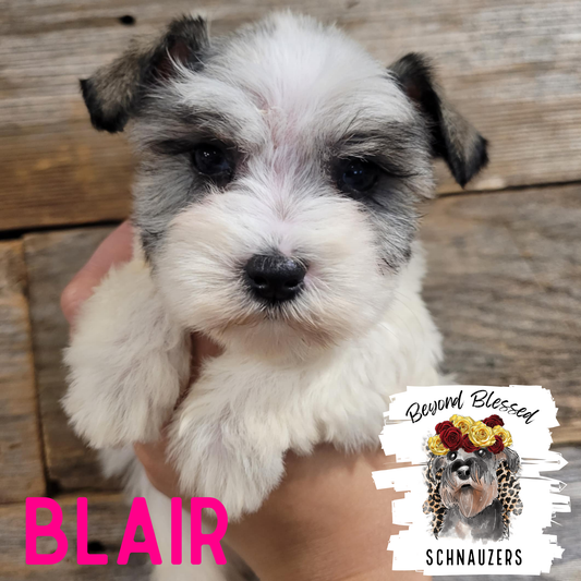 Blair