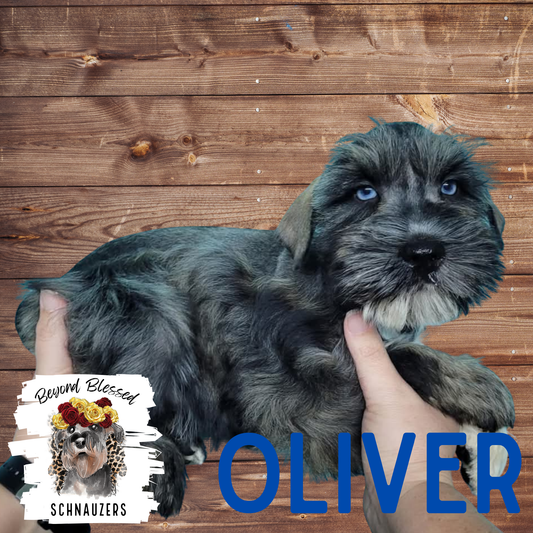 Oliver