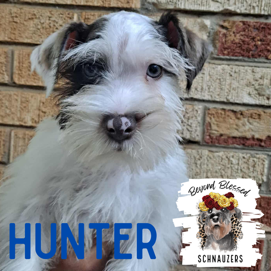 Hunter