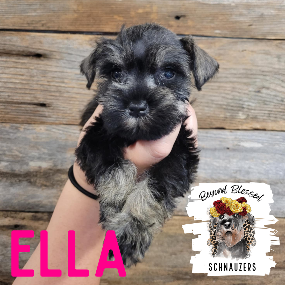 Ella